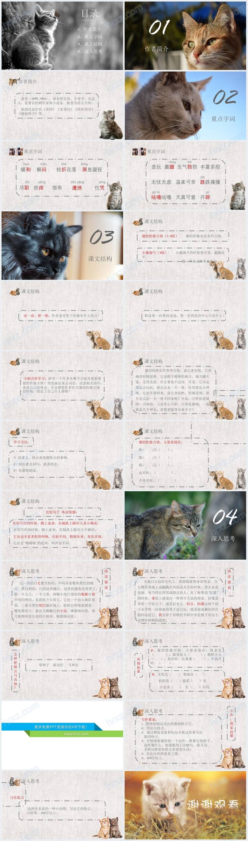 四年级语文上册猫PPT课件 四年级语文上册猫PPT课件