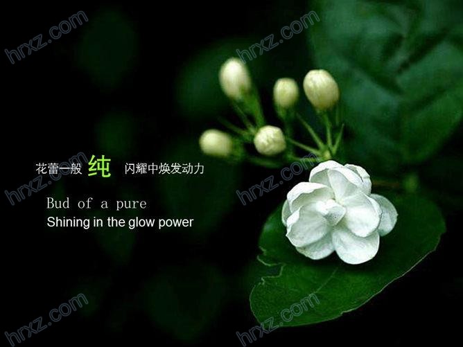 美丽绿色大自然PPT背景素材 美丽绿色大自然PPT背景素材