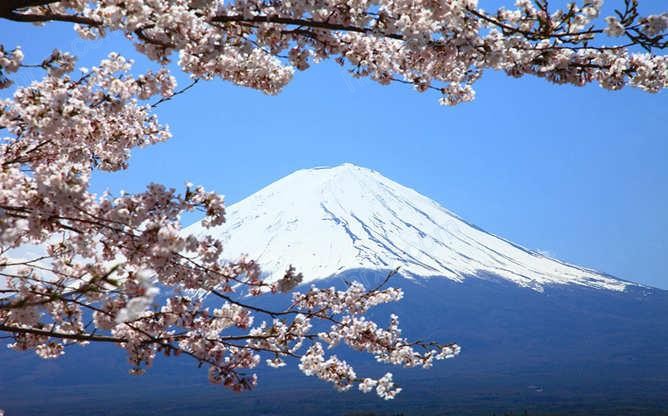 富士山樱花PPT背景图片 富士山樱花PPT背景图片