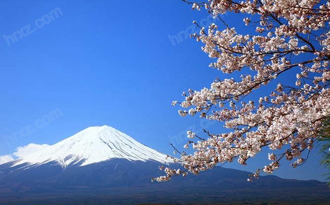 富士山樱花ppt背景图片 Hr下载