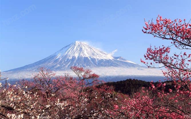 富士山樱花PPT背景图片 富士山樱花PPT背景图片