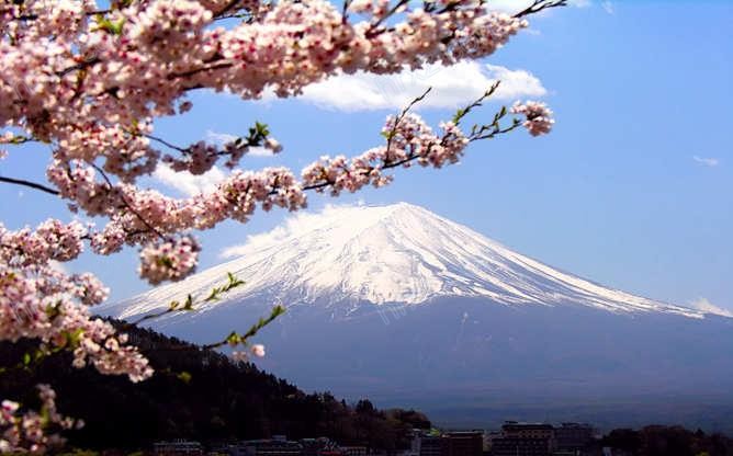 富士山樱花PPT背景图片 富士山樱花PPT背景图片