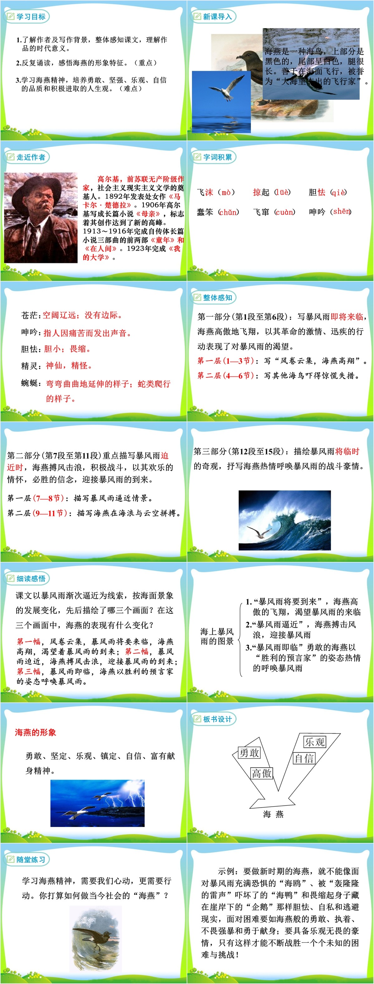 海燕课文PPT课件 海燕课文PPT课件