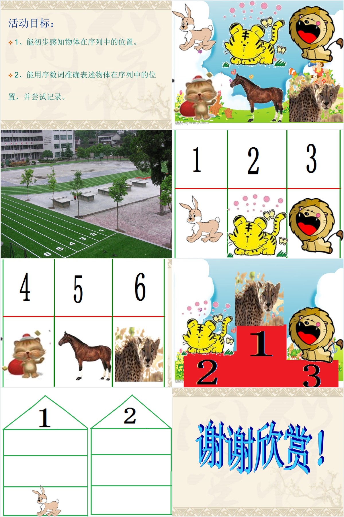 数学领域动物运动会PPT