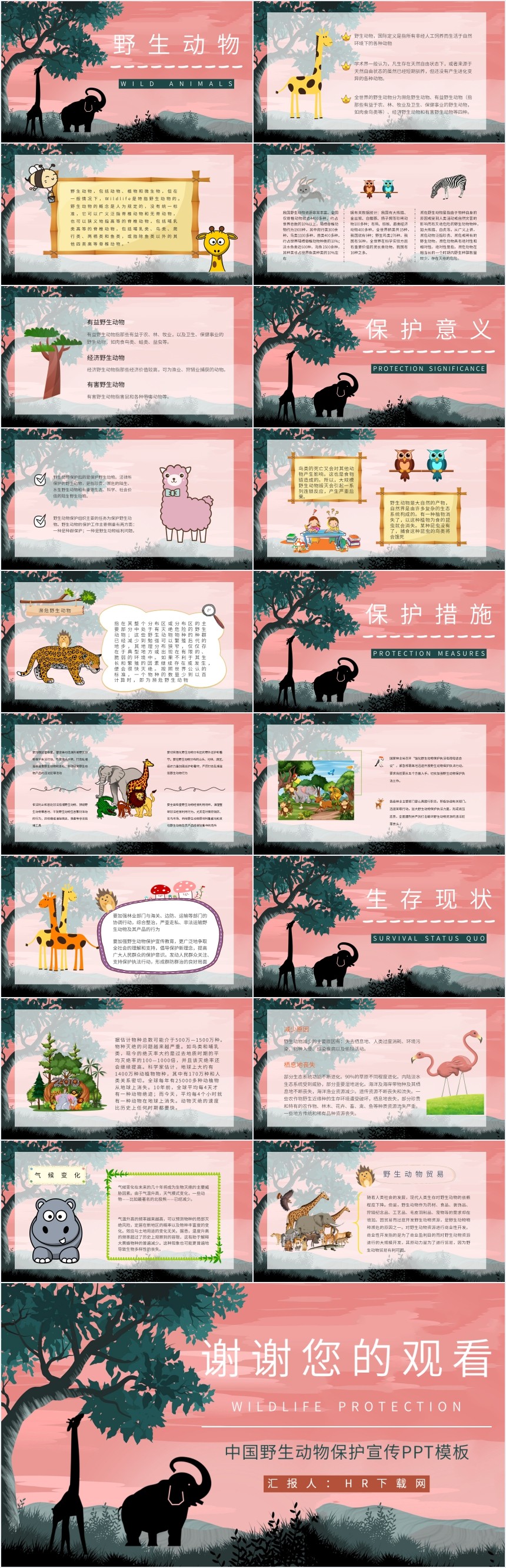 中国野生动物保护宣传PPT模板 中国野生动物保护宣传PPT模板
