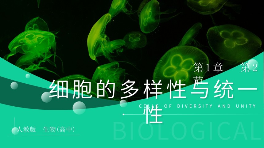 生物细胞的多样性与统一性PPT课件截图