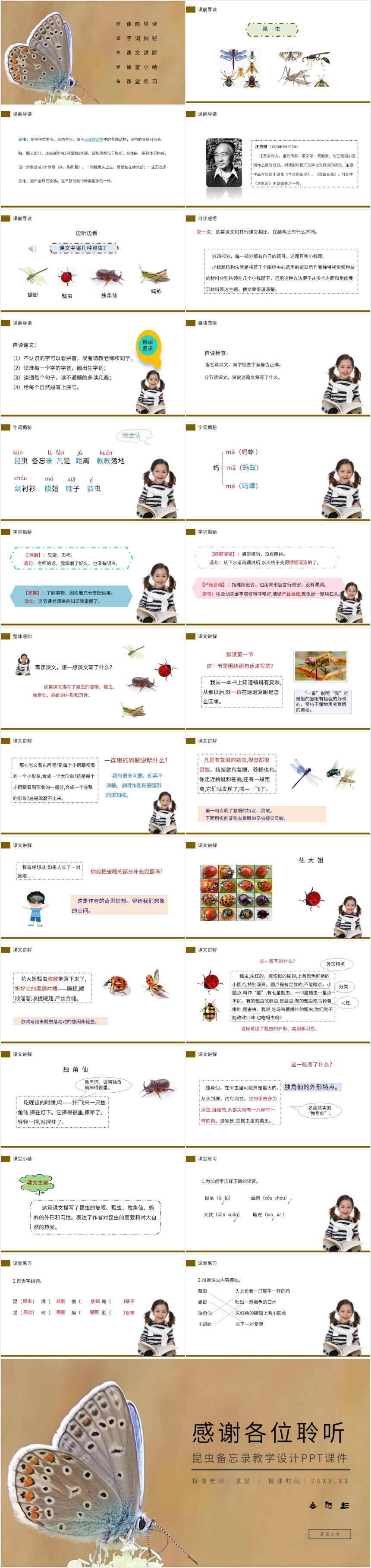 昆虫备忘录教学设计PPT课件 昆虫备忘录教学设计PPT课件