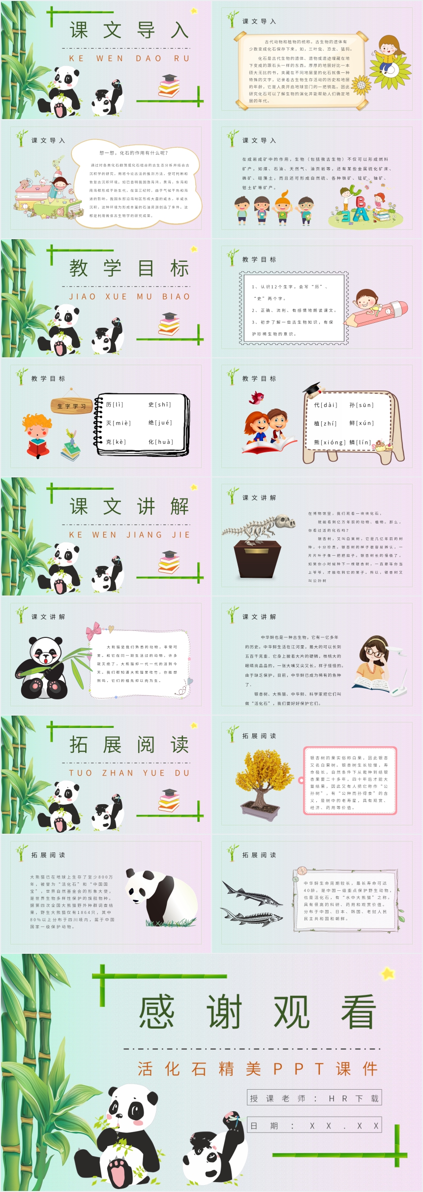 活化石精美PPT课件 活化石精美PPT课件