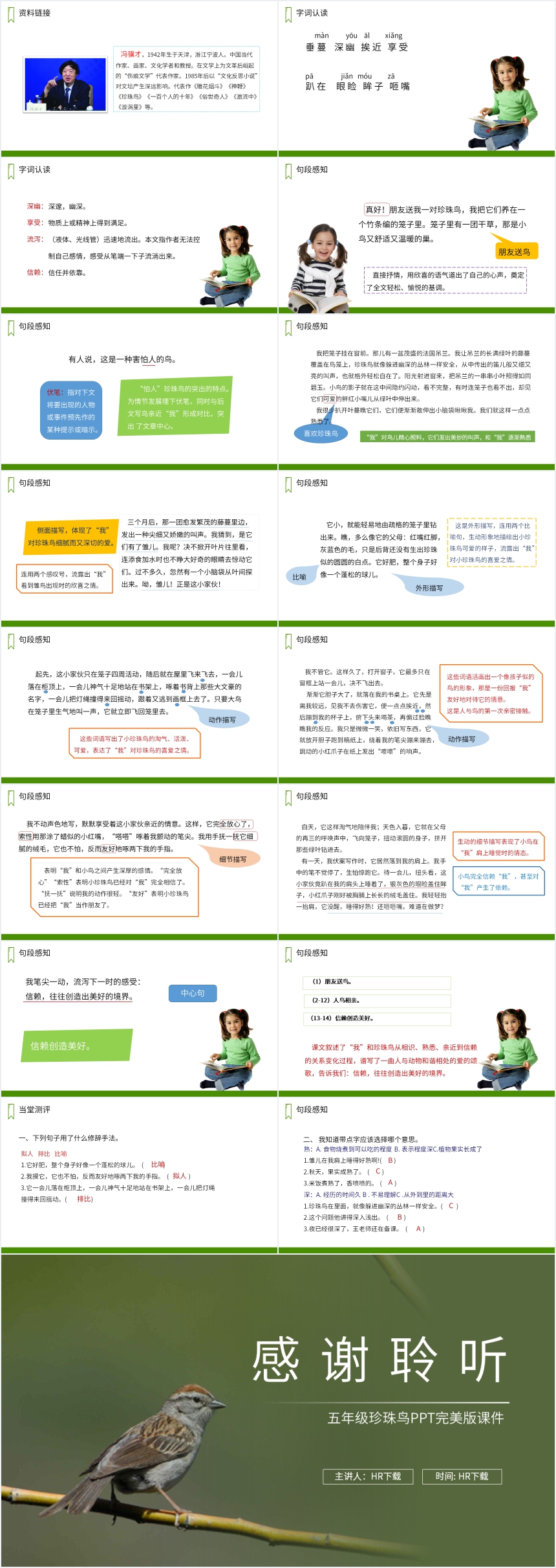 五年级珍珠鸟PPT完美版课件 五年级珍珠鸟PPT完美版课件