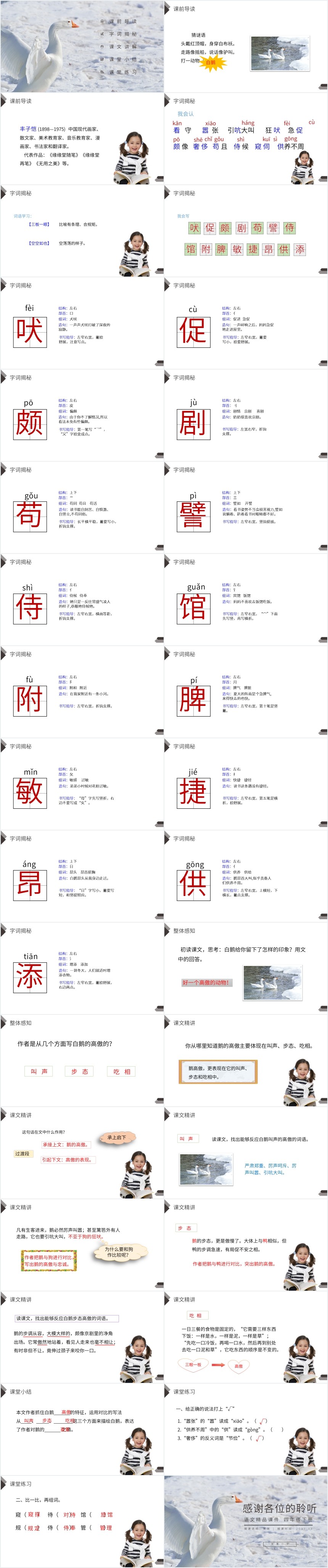 四年级上册白鹅课文教学PPT课件 四年级上册白鹅课文教学PPT课件