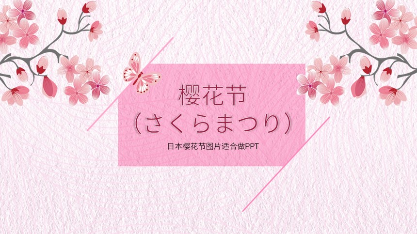 日本樱花节图片适合做PPT