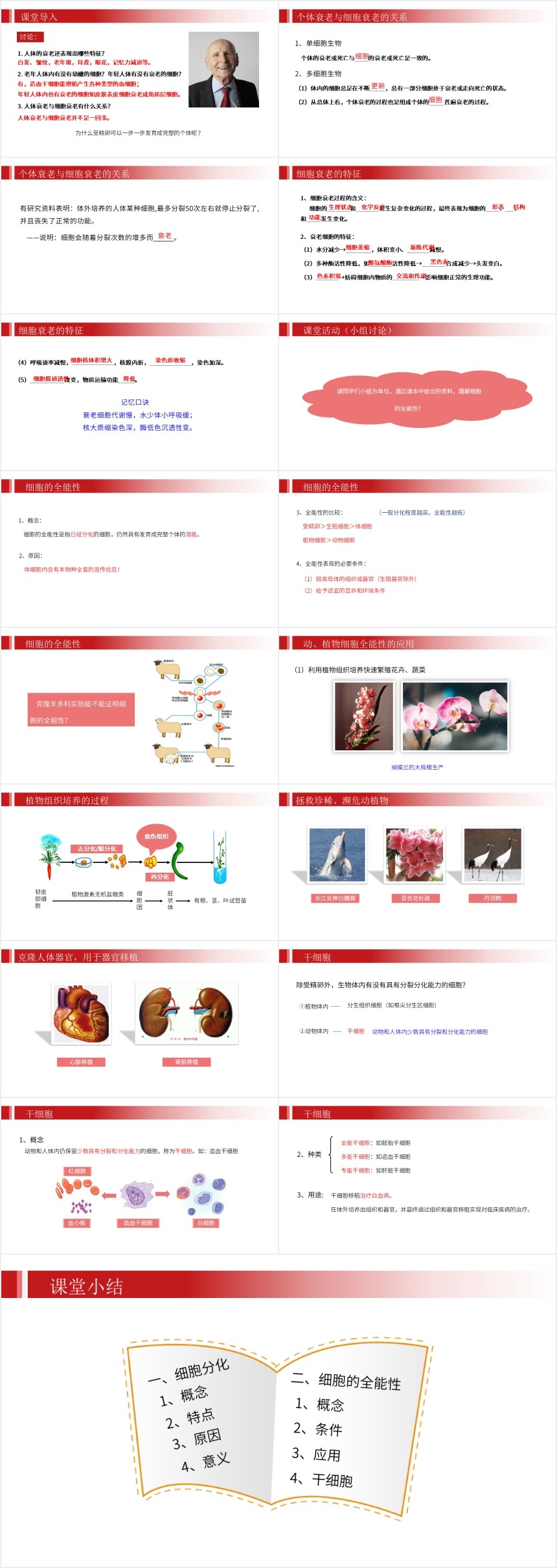 细胞的衰老和凋亡PPT课件 细胞的衰老和凋亡PPT课件