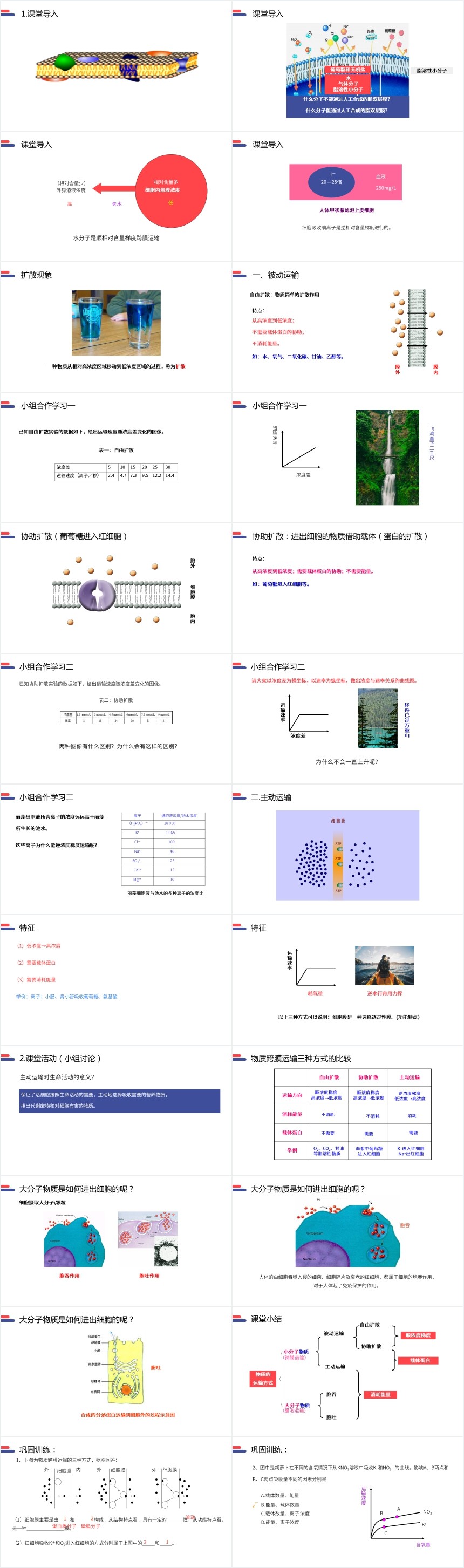 物质跨膜运输的方式PPT课件 物质跨膜运输的方式PPT课件