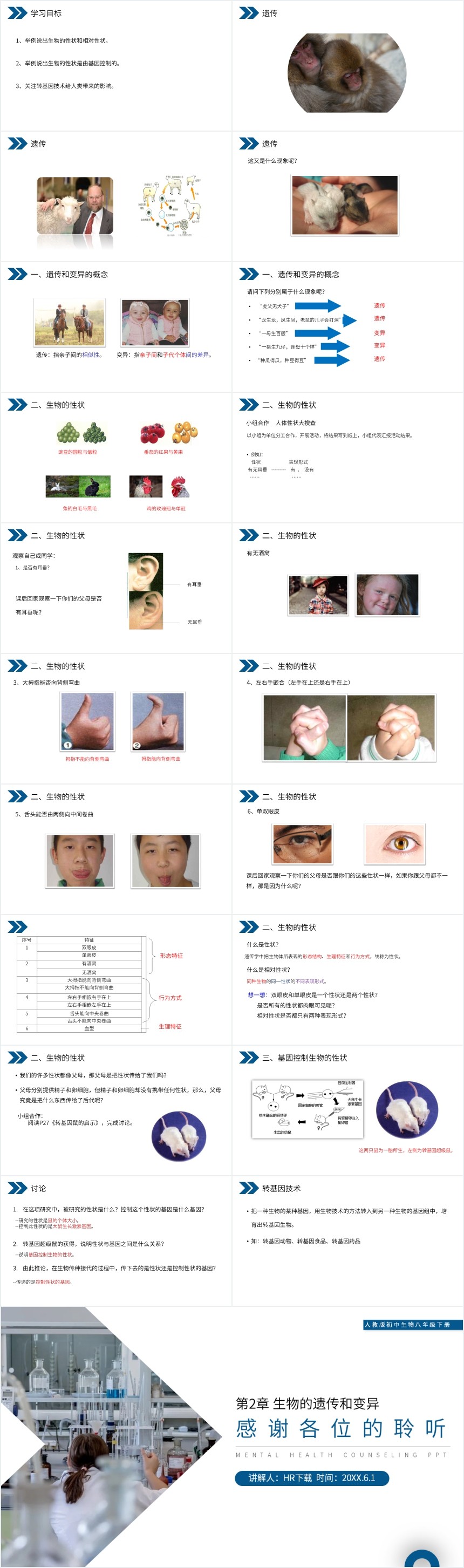 基因控制生物的性状PPT 基因控制生物的性状PPT