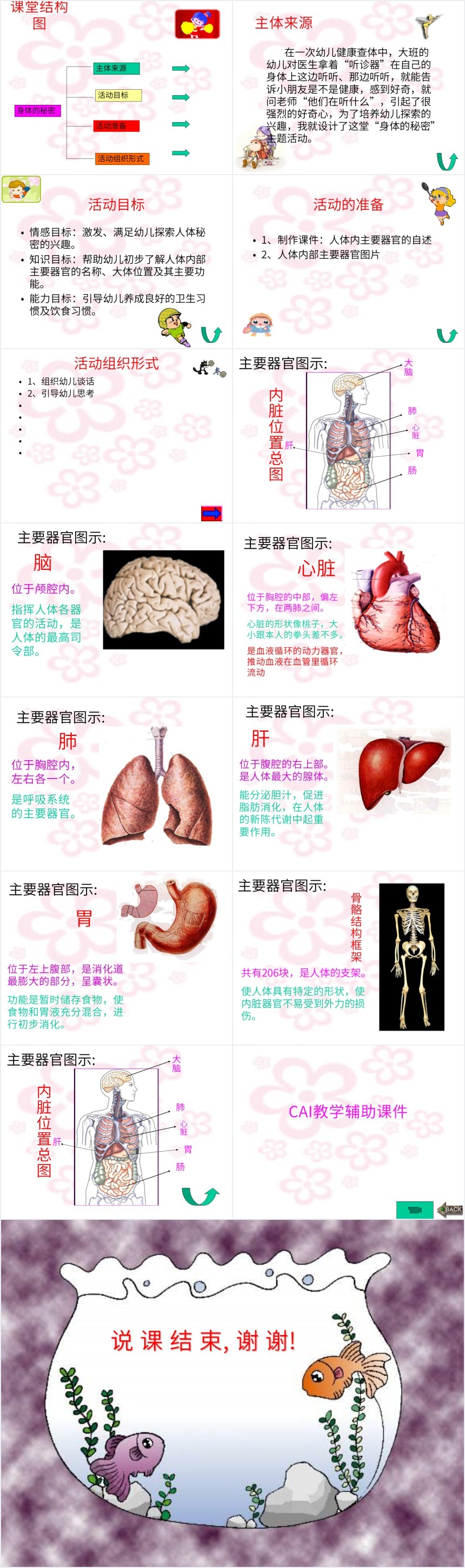 幼儿园科学活动身体的秘密PPT 幼儿园科学活动身体的秘密PPT