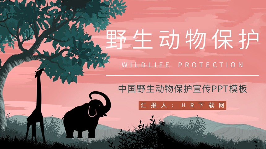 中国野生动物保护宣传PPT模板