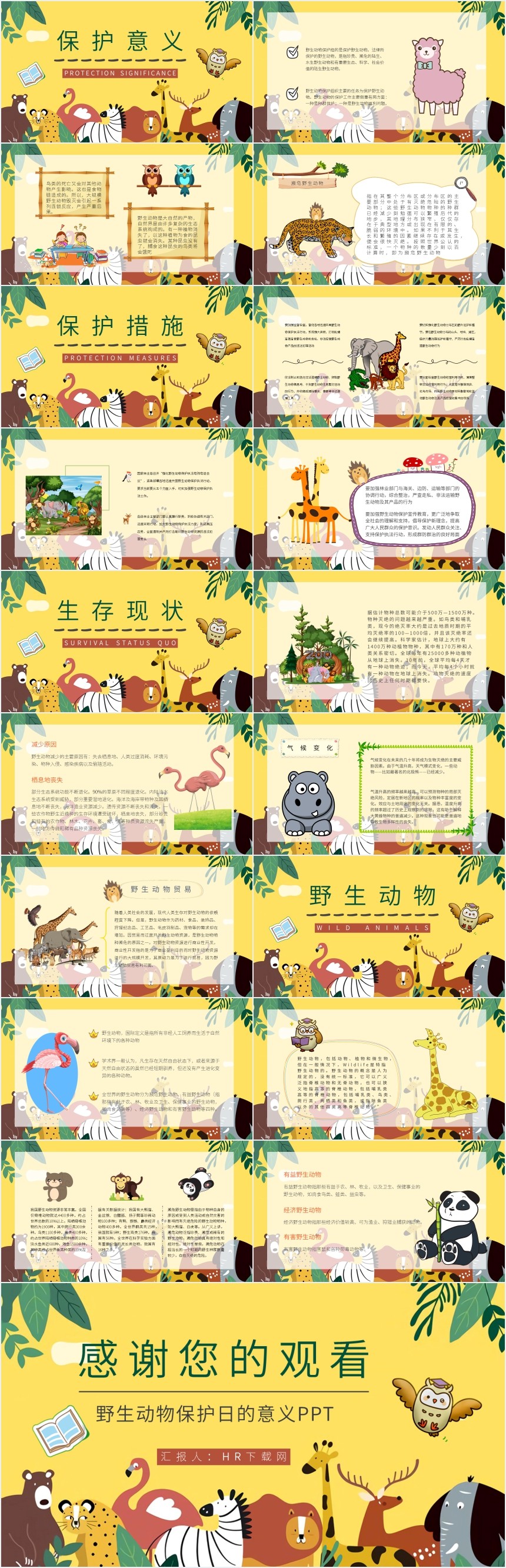野生动物保护日的意义PPT 野生动物保护日的意义PPT