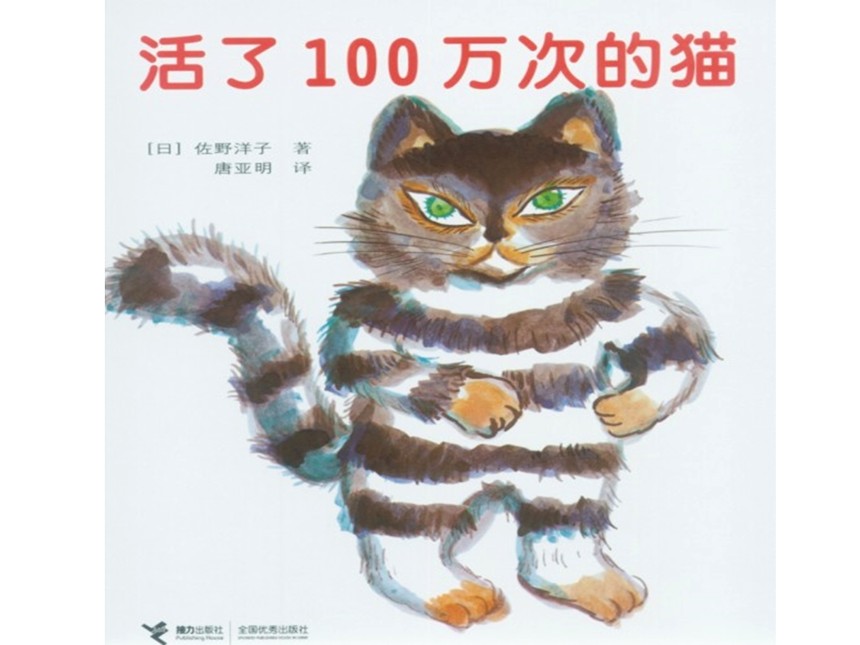活了100万次的猫绘本故事PPT课件截图