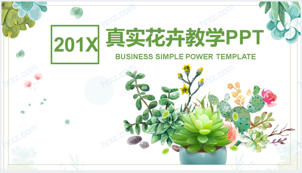 园艺师多肉植物教学PPT模板截图